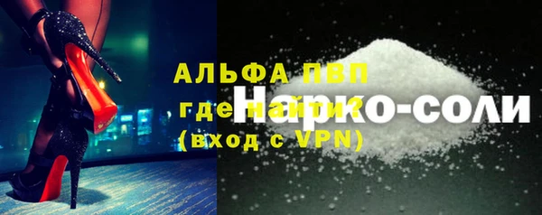 прущие грибы Иннополис