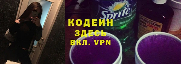 прущие грибы Иннополис