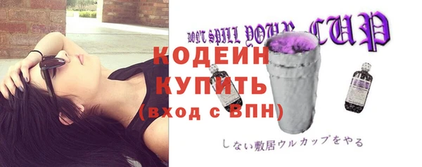 прущие грибы Иннополис