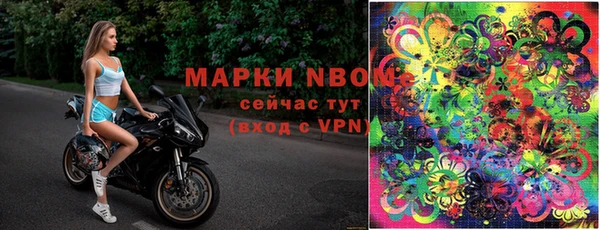 прущие грибы Иннополис