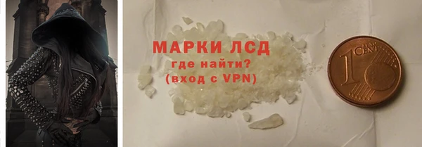 прущие грибы Иннополис