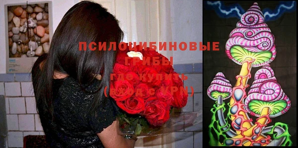 прущие грибы Иннополис