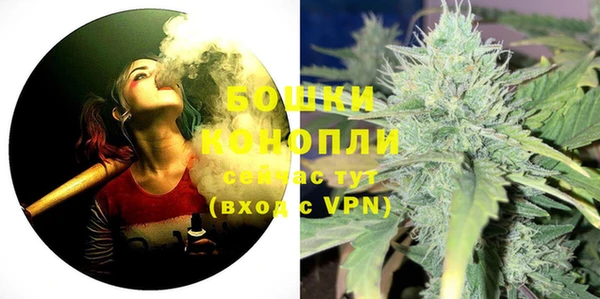 ГАЛЛЮЦИНОГЕННЫЕ ГРИБЫ Курчалой