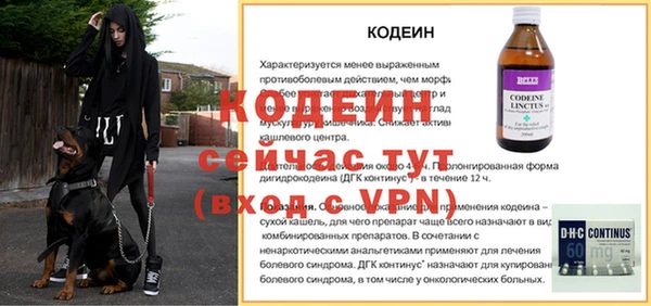 прущие грибы Иннополис