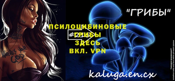 прущие грибы Иннополис