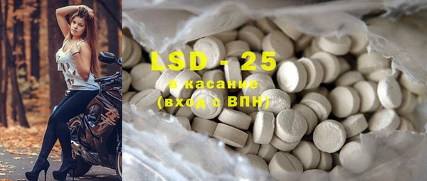 прущие грибы Иннополис