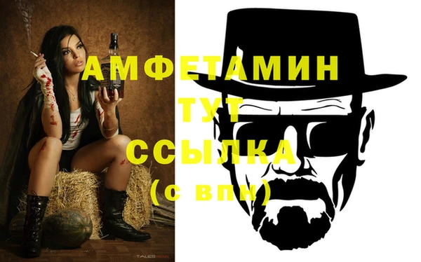 прущие грибы Иннополис
