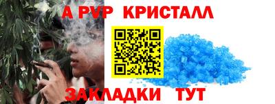 шишки Усть-Илимск