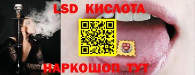 шишки Усть-Илимск