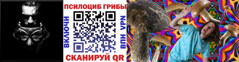 kraken tor  Канск  Галлюциногенные грибы мухоморы 