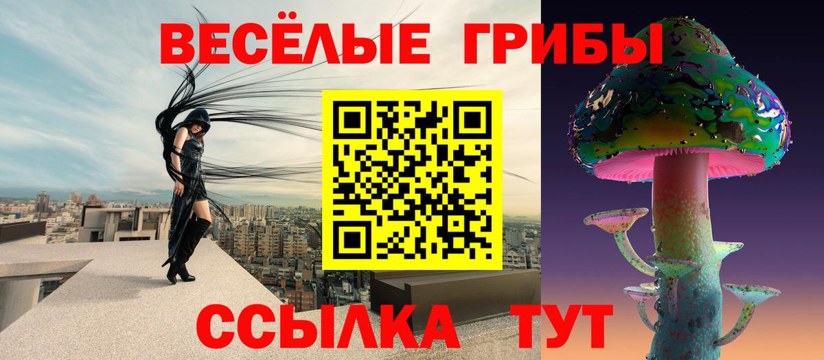 Канск  Галлюциногенные грибы Psilocybe  купить  цена  Вход с VPN 